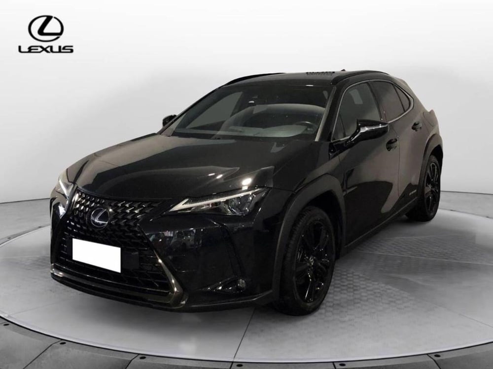 Lexus UX usata a Torino