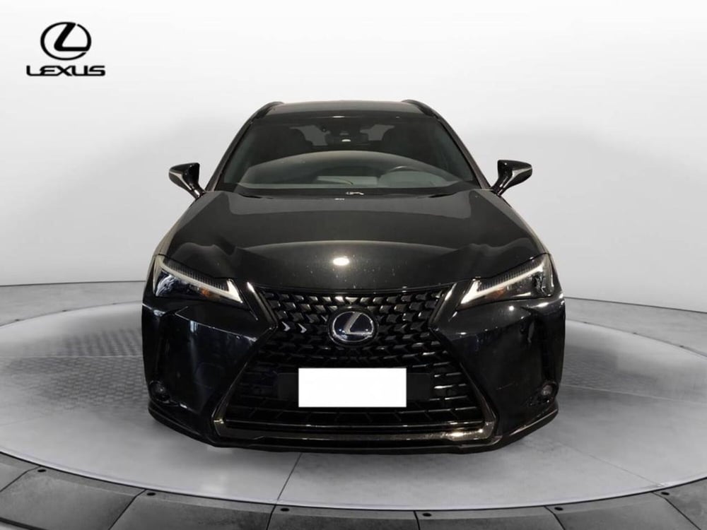 Lexus UX usata a Torino (2)