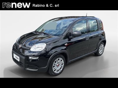 Fiat Panda 1.0 firefly hybrid s&amp;s 70cv 5p.ti del 2024 usata a Pinerolo