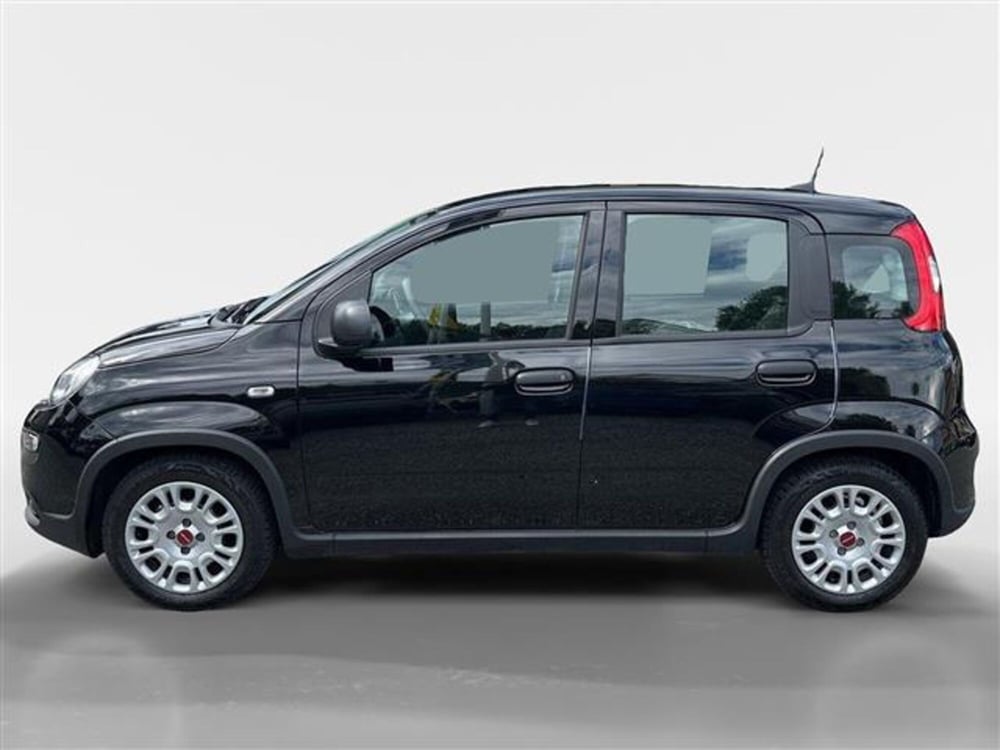 Fiat Panda usata a Torino (2)