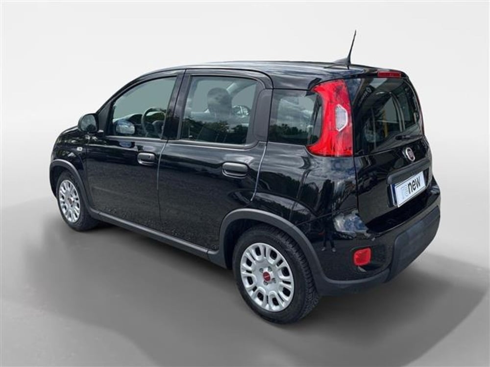 Fiat Panda usata a Torino (3)