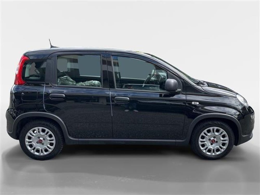 Fiat Panda usata a Torino (6)