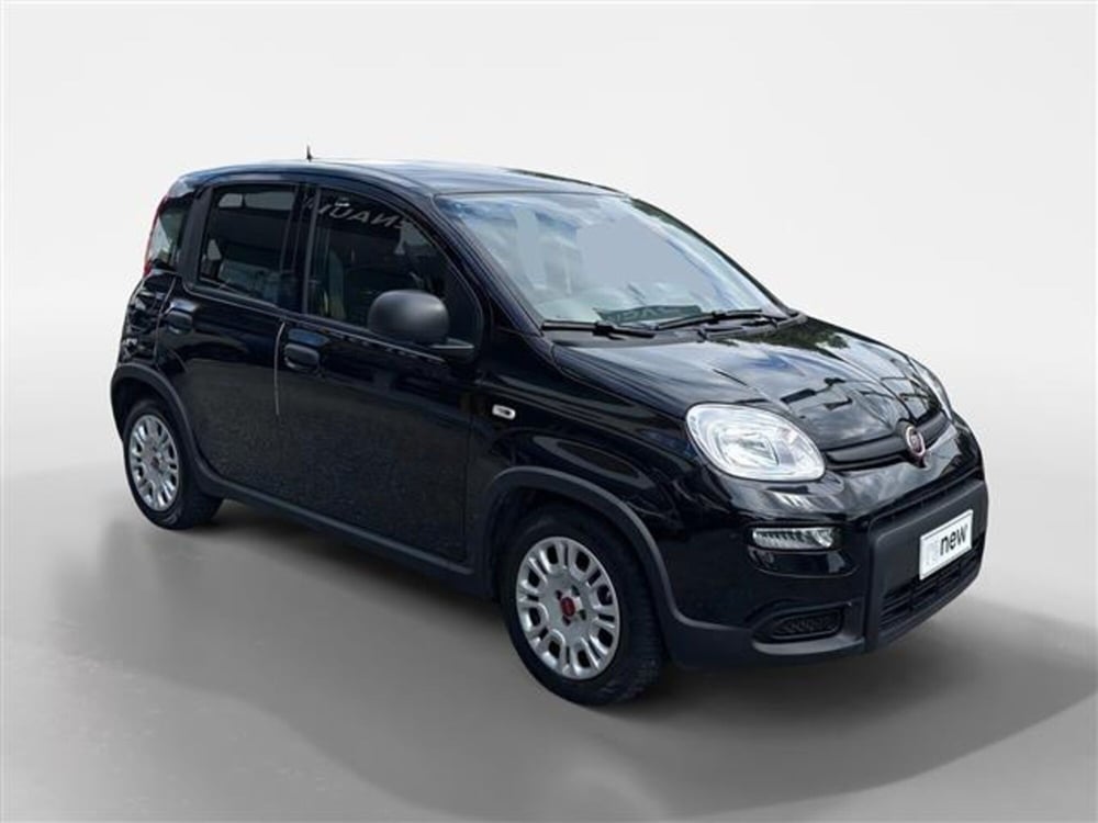 Fiat Panda usata a Torino (7)