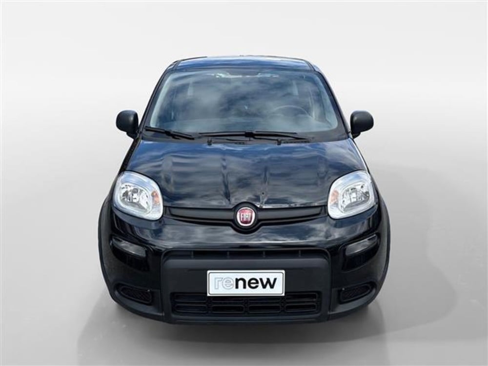 Fiat Panda usata a Torino (8)