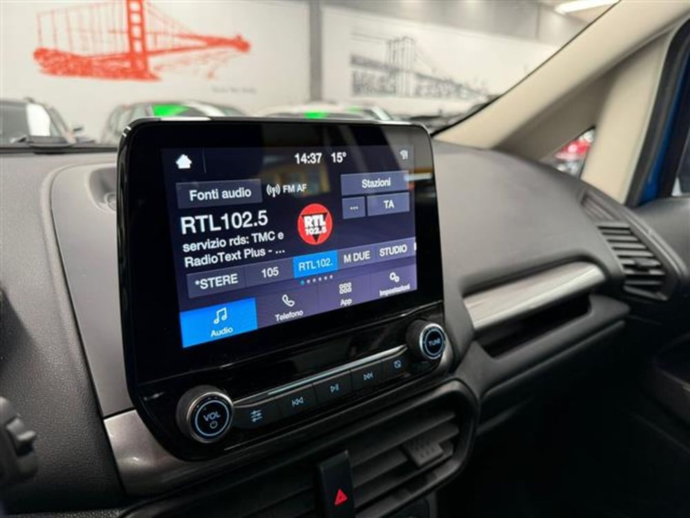 Ford EcoSport usata a Cremona (12)
