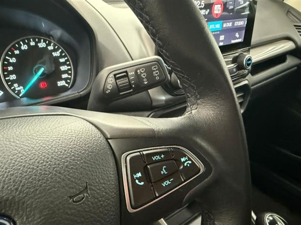 Ford EcoSport usata a Cremona (15)