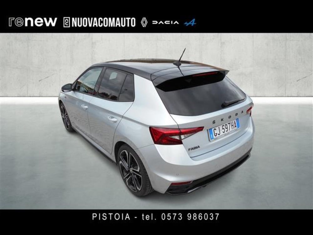 Skoda Fabia usata a Firenze (2)