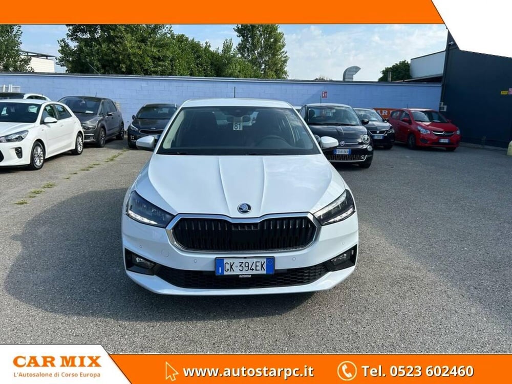 Skoda Fabia usata a Piacenza (2)