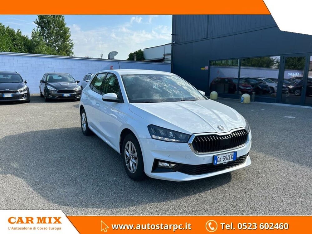 Skoda Fabia usata a Piacenza (3)