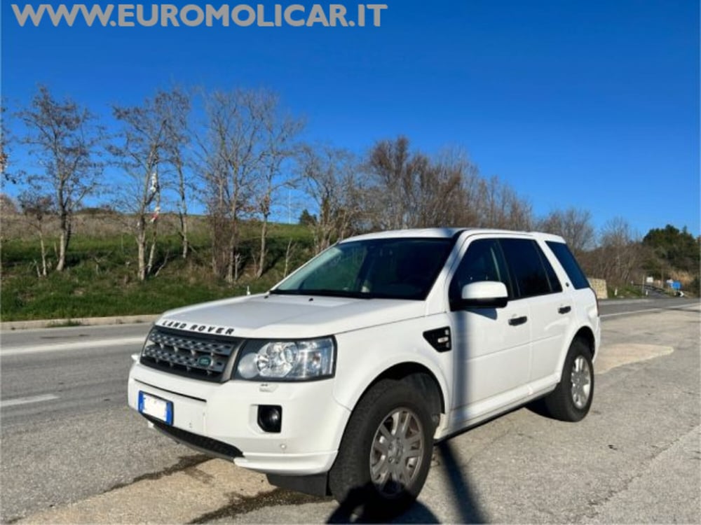 Land Rover Freelander usata a Campobasso