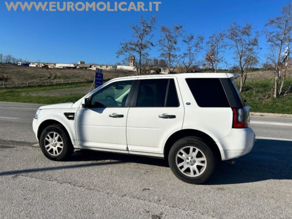 Land Rover Freelander usata a Campobasso (10)