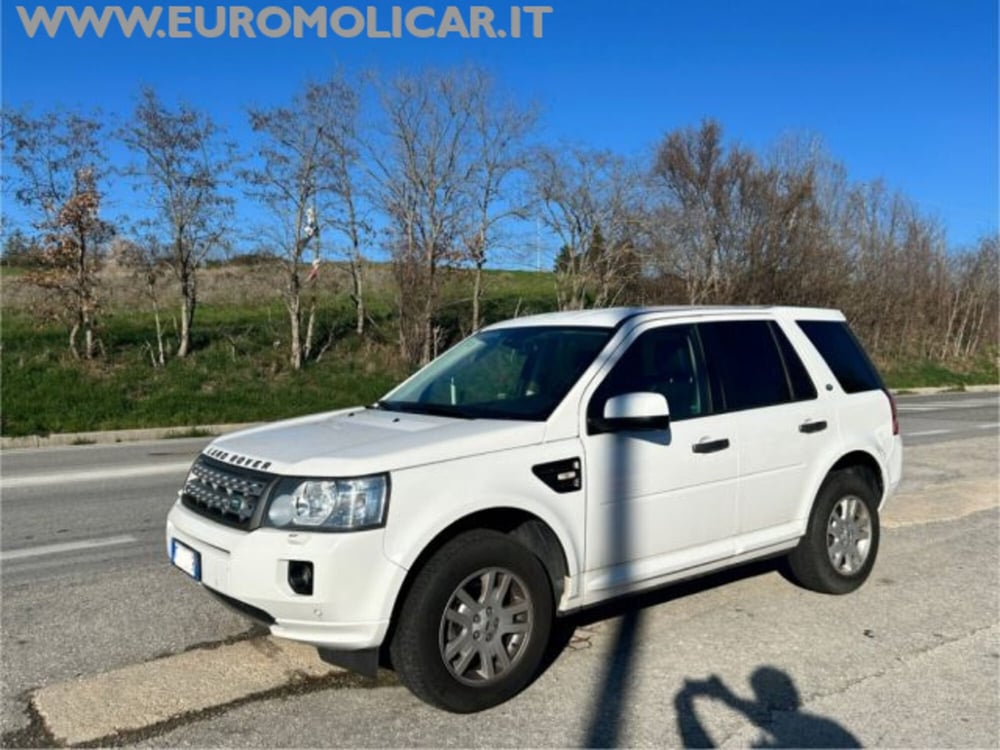 Land Rover Freelander usata a Campobasso (15)