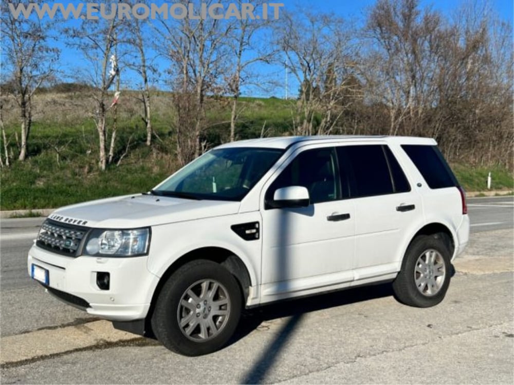Land Rover Freelander usata a Campobasso (16)