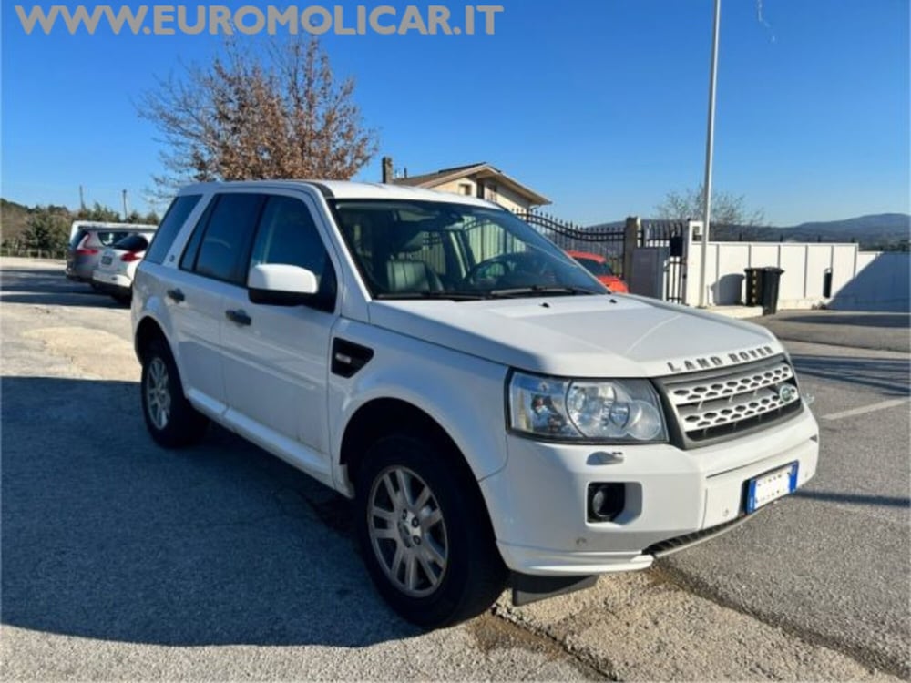 Land Rover Freelander usata a Campobasso (4)