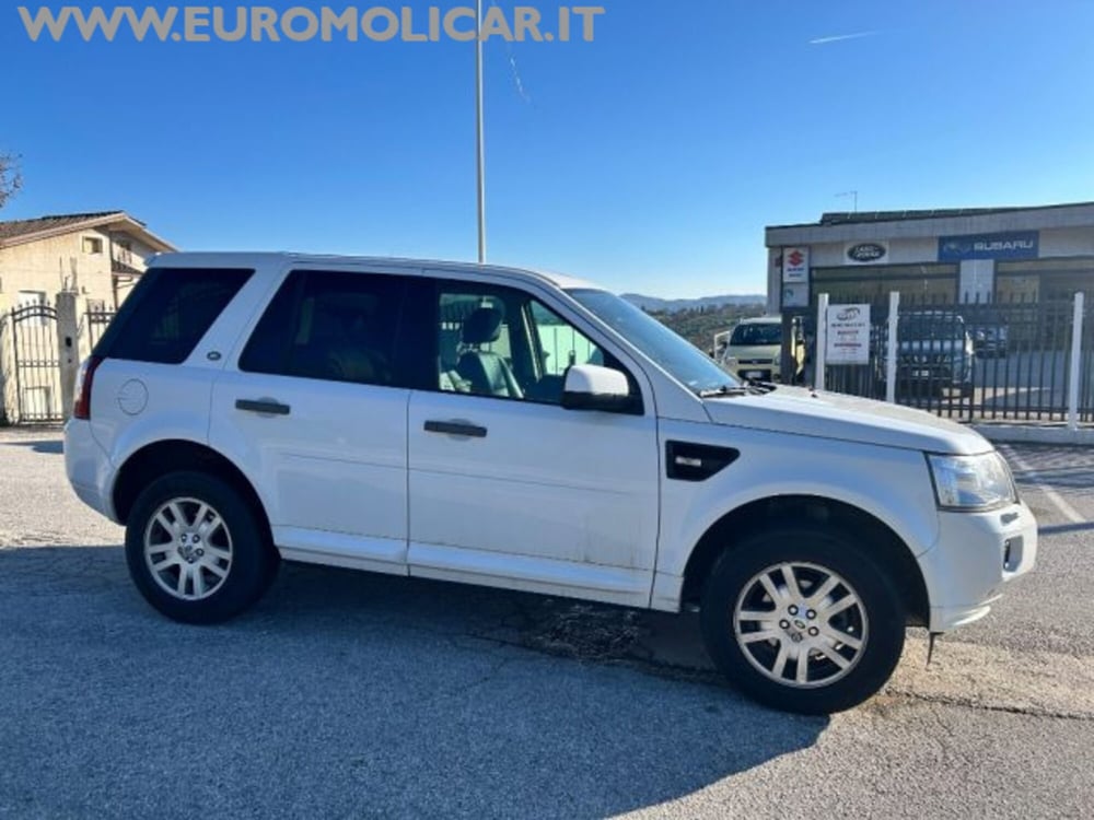 Land Rover Freelander usata a Campobasso (5)