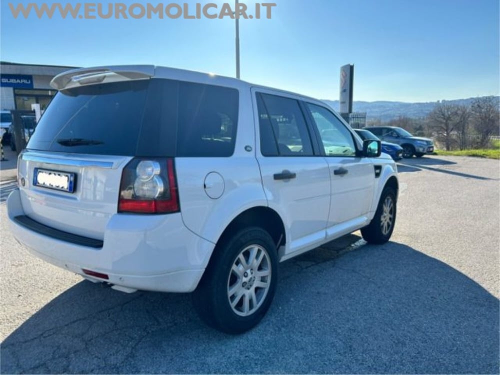 Land Rover Freelander usata a Campobasso (6)