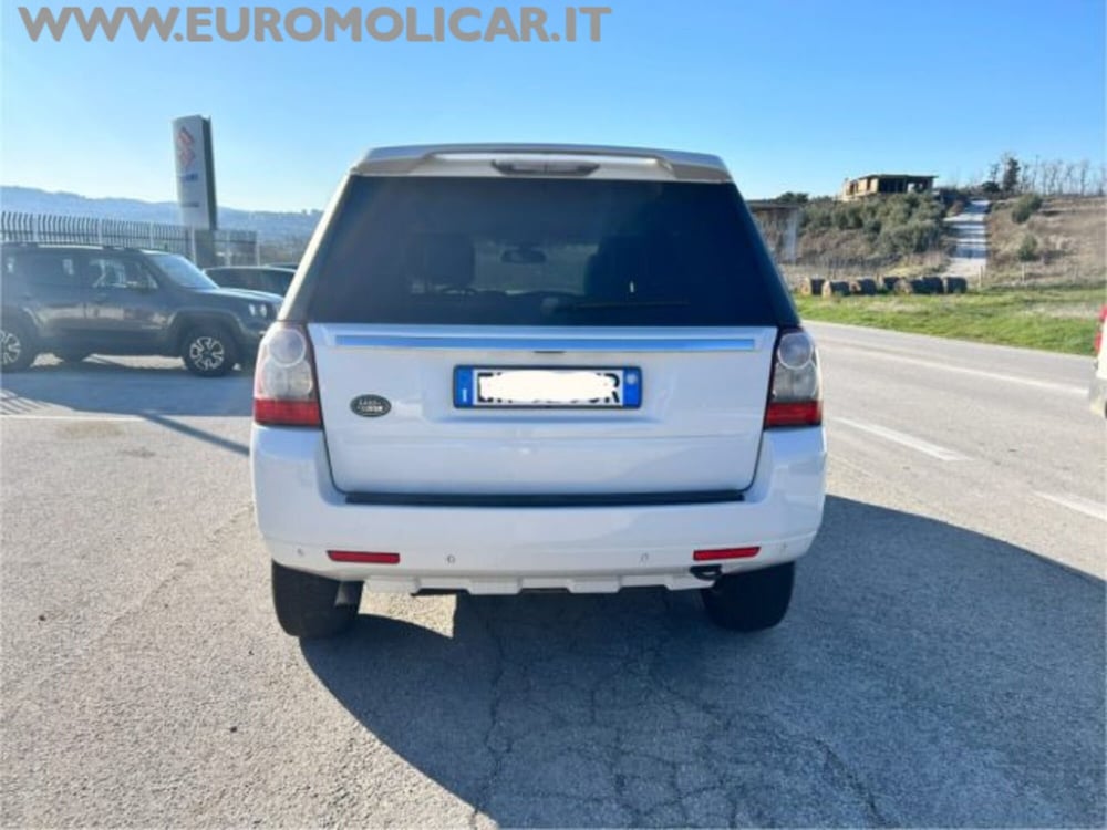 Land Rover Freelander usata a Campobasso (7)