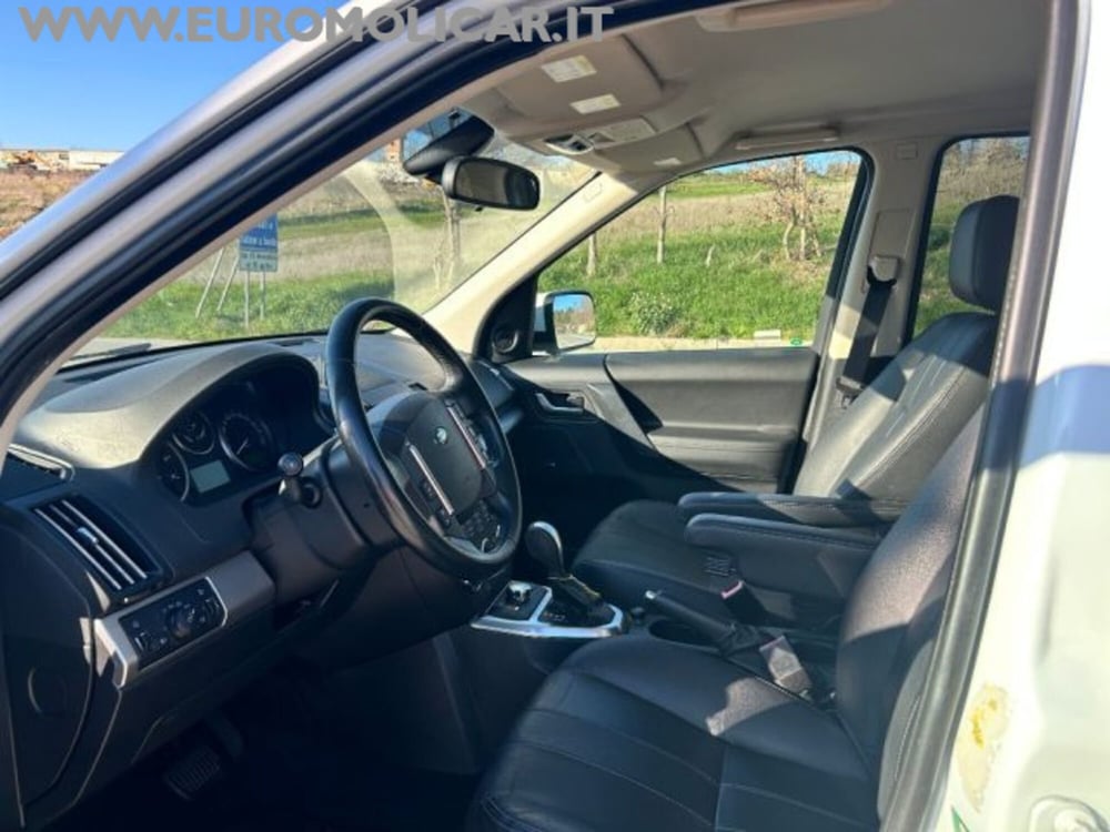 Land Rover Freelander usata a Campobasso (8)