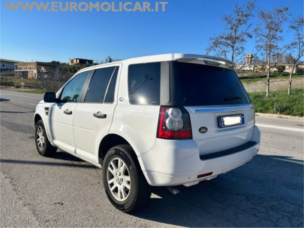 Land Rover Freelander usata a Campobasso (9)