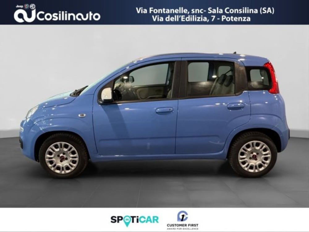 Fiat Panda usata a Salerno (2)