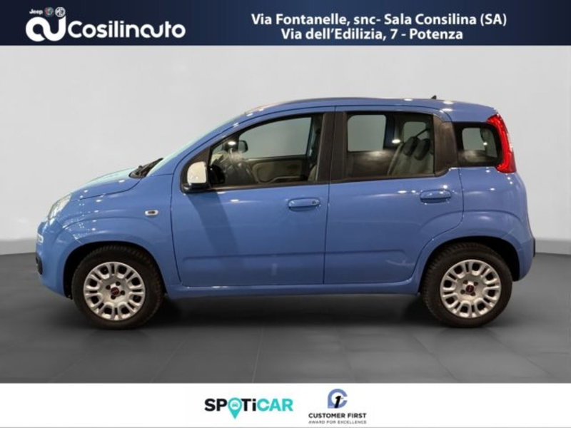 Fiat Panda usata a Salerno (2)