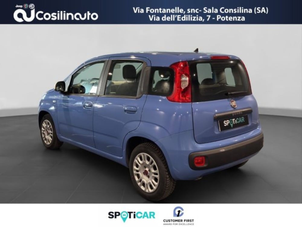 Fiat Panda usata a Salerno (3)