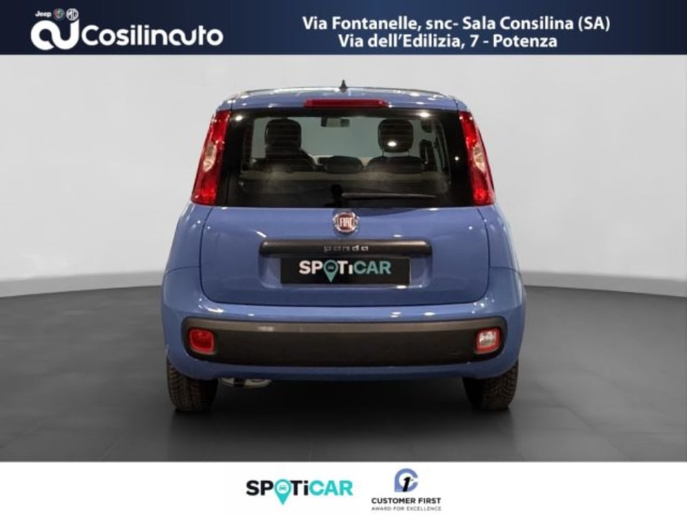 Fiat Panda usata a Salerno (4)