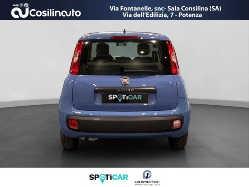 Fiat Panda usata a Salerno (4)