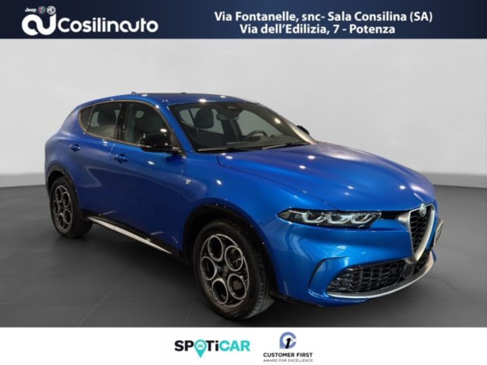 Alfa Romeo Tonale usata a Salerno (7)