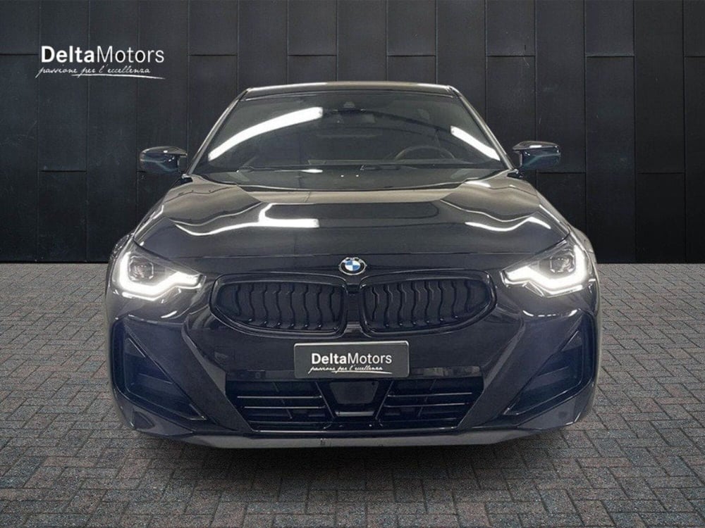BMW Serie 2 Coupé usata a Macerata (2)