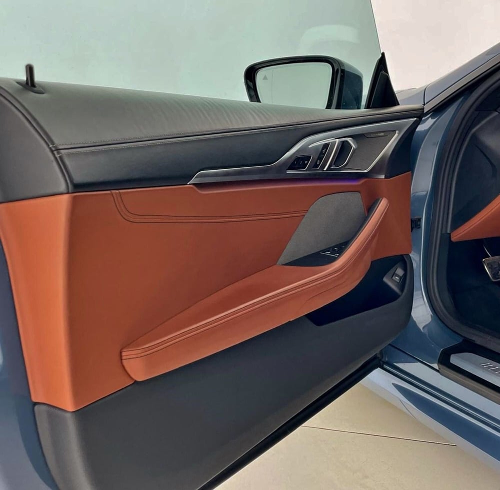 BMW Serie 8 Coupé usata a Perugia (14)