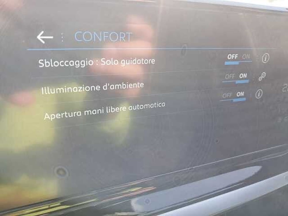 Peugeot 2008 usata a Treviso (19)
