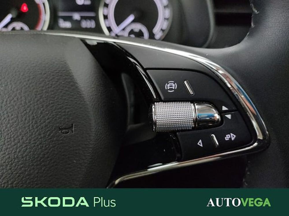 Skoda Kamiq usata a Vicenza (11)