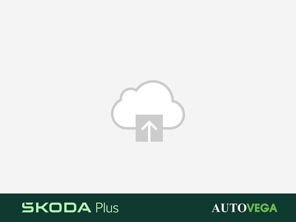 Skoda Kamiq usata a Vicenza (16)