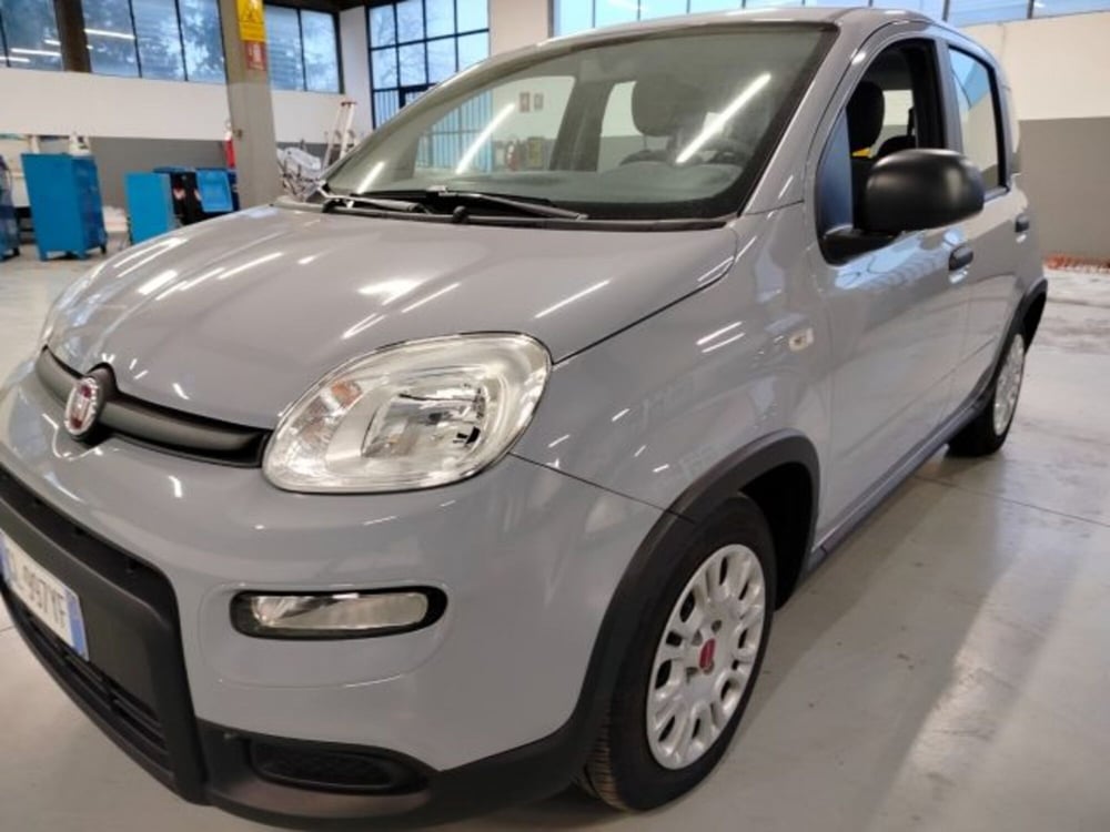 Fiat Panda usata a Forlì-Cesena (12)
