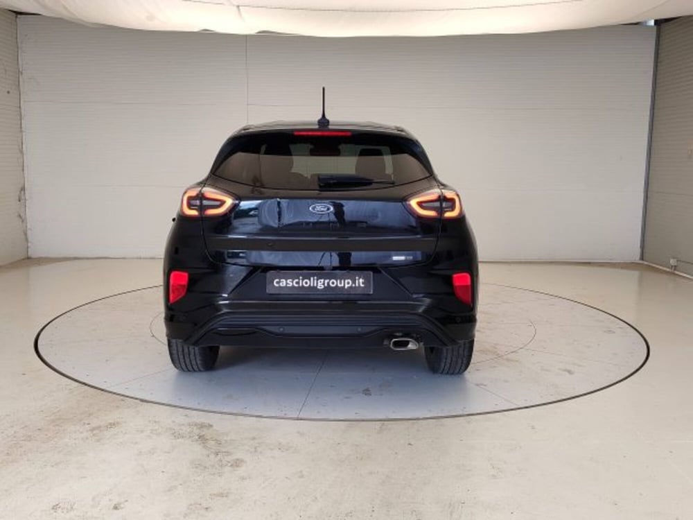 Ford Puma usata a Teramo (4)
