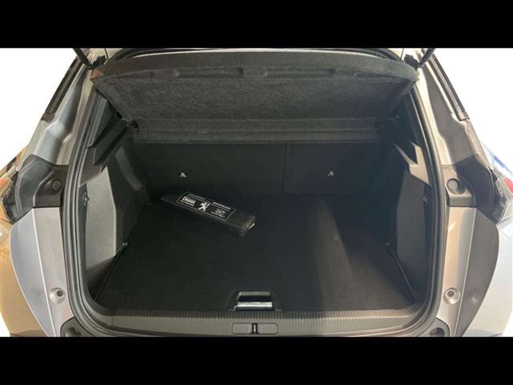 Peugeot 2008 usata a Firenze (5)