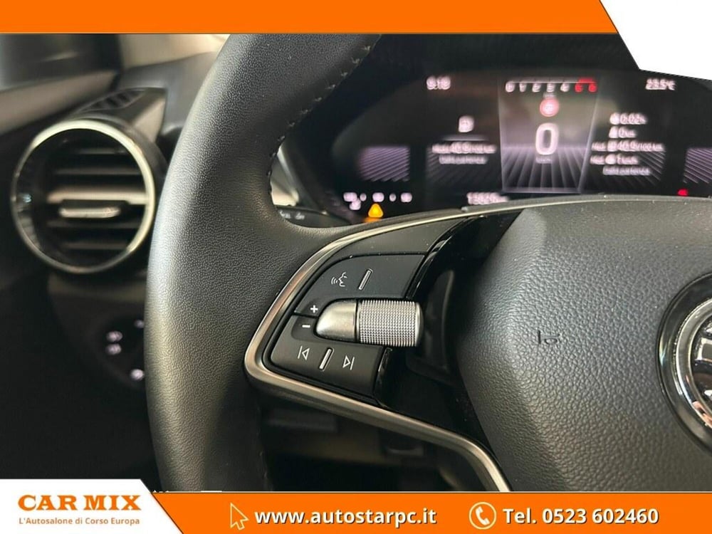 Skoda Fabia usata a Piacenza (14)