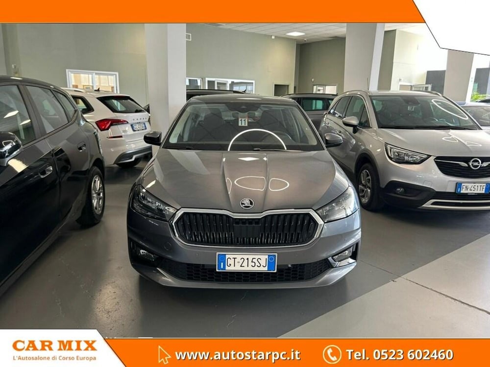 Skoda Fabia usata a Piacenza (2)