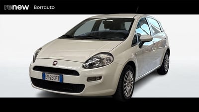 Fiat Punto 1.2 8V 5 porte Street del 2014 usata a Montebelluna