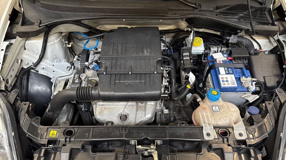 Fiat Punto usata a Treviso (15)