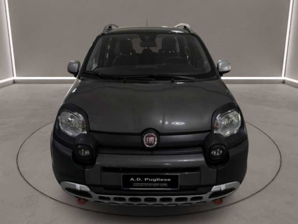 Fiat Panda Cross usata a Caltanissetta (2)