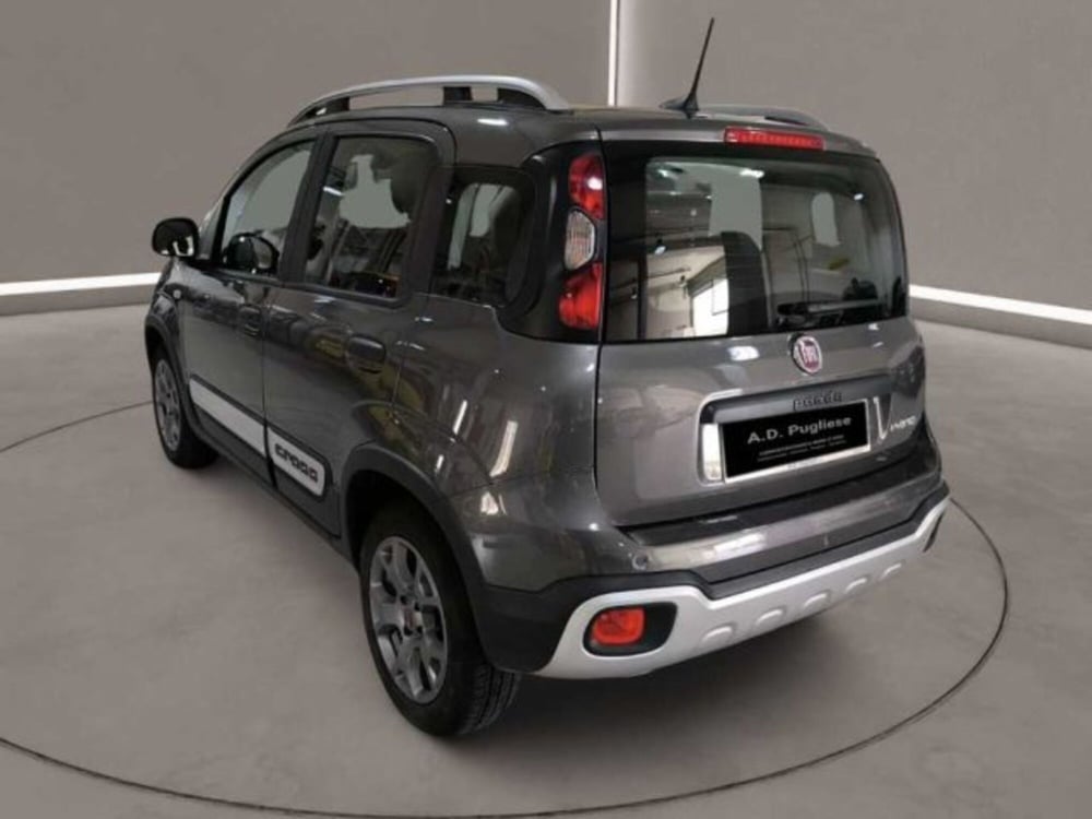 Fiat Panda Cross usata a Caltanissetta (8)