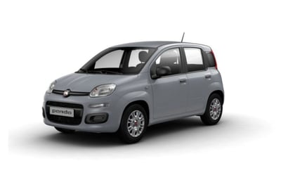 Fiat Panda 1.2 EasyPower Sport del 2021 usata a Mosciano Sant&#039;Angelo