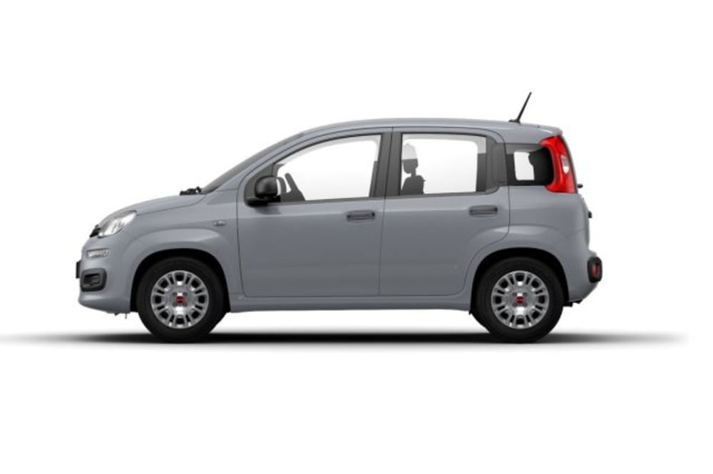 Fiat Panda usata a Teramo (4)