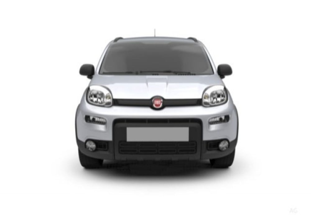 Fiat Panda usata a Teramo (9)