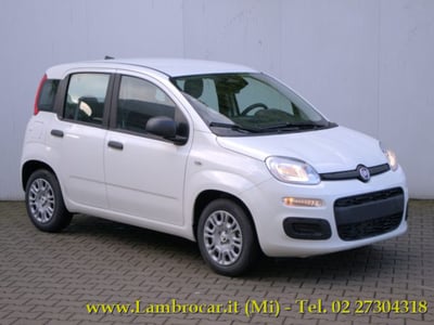 Fiat Panda 1.0 firefly hybrid s&amp;s 70cv 5p.ti nuova a Cologno Monzese