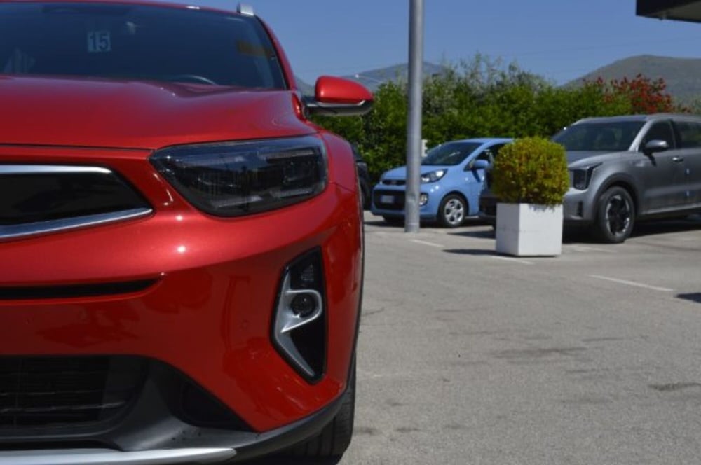 Kia Stonic usata a Latina (11)