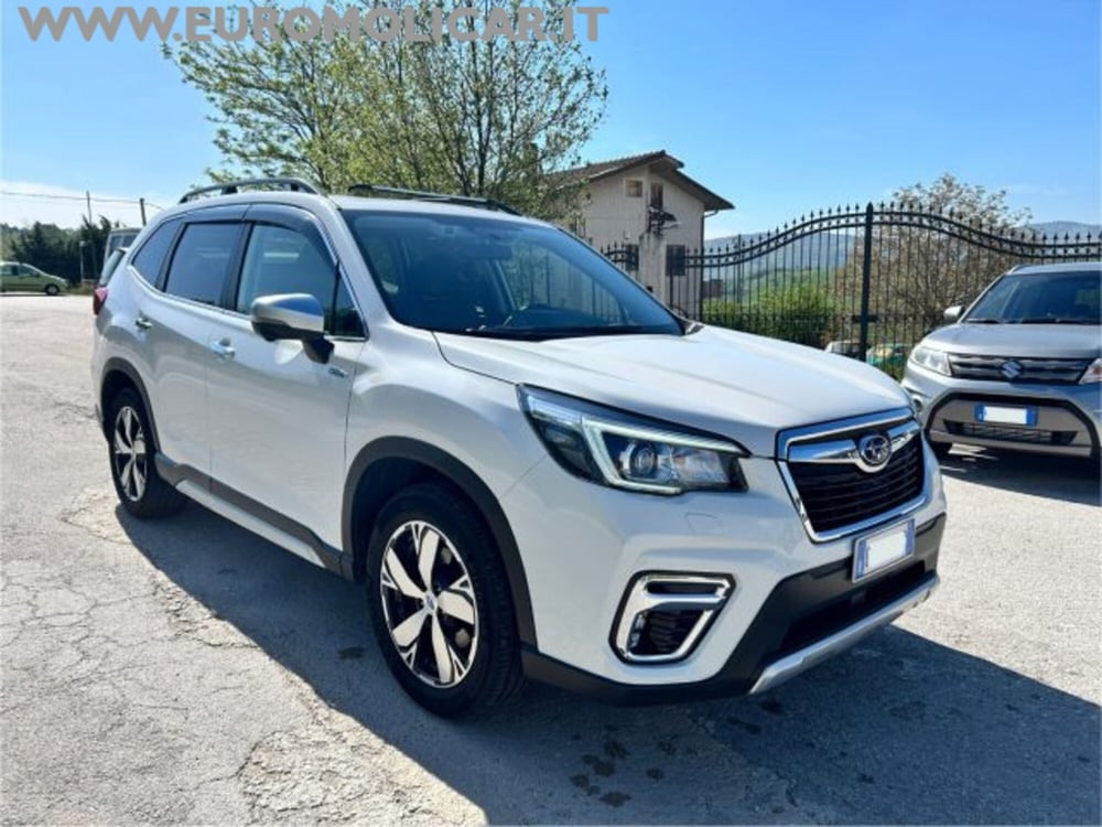 Subaru Forester usata a Campobasso (10)