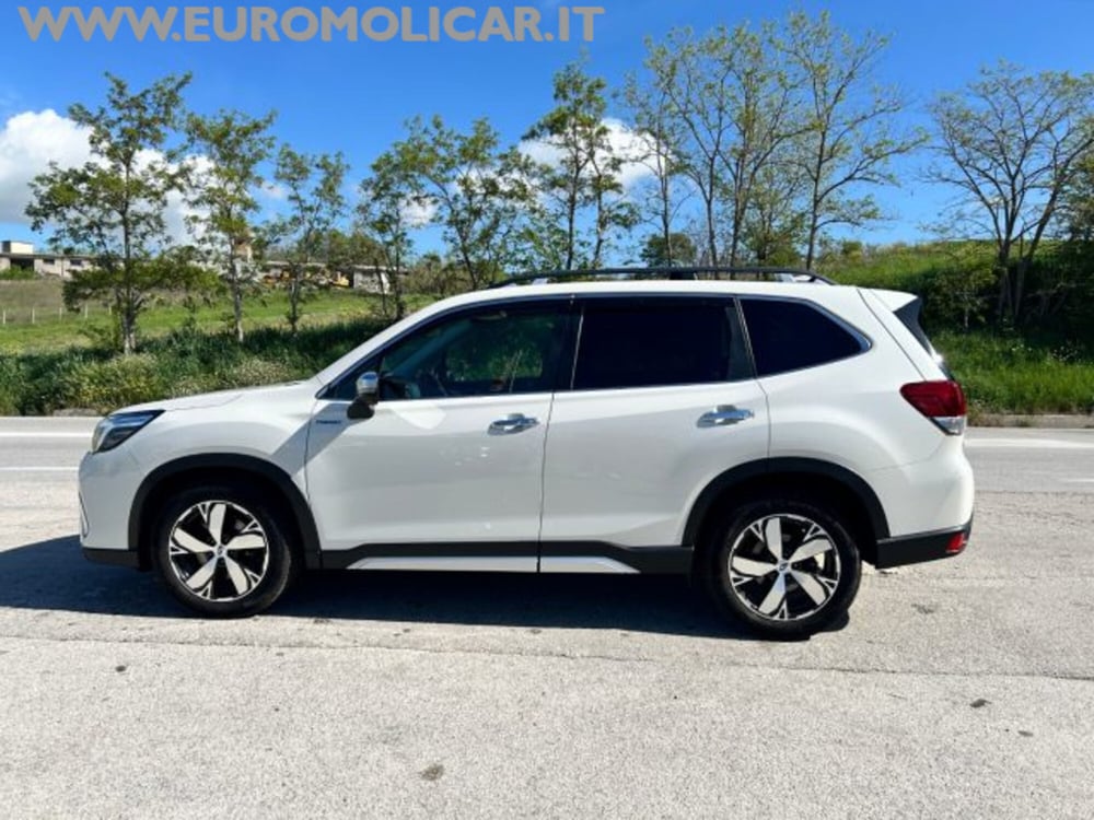 Subaru Forester usata a Campobasso (2)